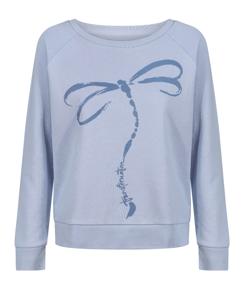 Dragonfly spiritual animal totem sweater